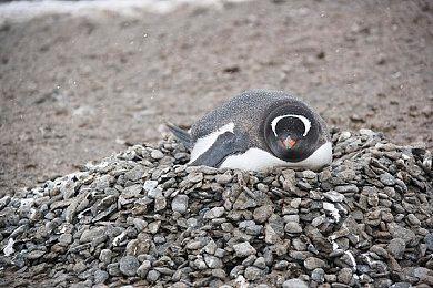 玩家称《暗黑4》第2赛季必须有大量内容 否则必死