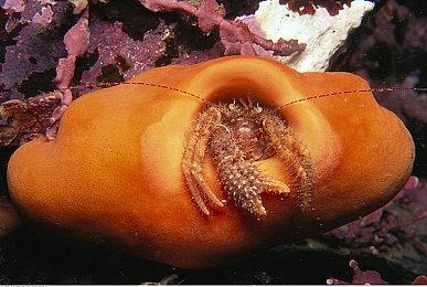 动作角色扮演游戏《死亡约束》新DLC“死亡接受”预告 10月28日发售