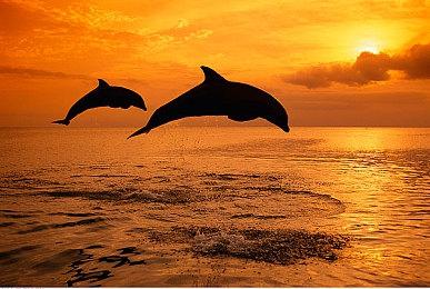 Key社视觉小说《星之终途》宣布登陆Switch 年内发售