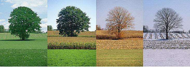 探索型 2D 和风动作游戏《波与月夜之青莲》NS数字版预约正式开始！