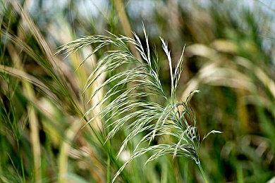 《文明7》将兼顾选择一些“鲜少被呈现”的领袖角色